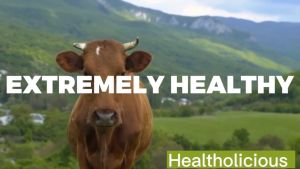 Bovine Collagen Peptides คอลลาเจนเปปไทด์จากวัวที่กินหญ้าตามธรรมชาติ ไม่มีน้ำตาล