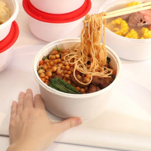 Anti-theft Leakproof Double-layer Thicker Meal Box