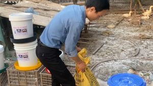 Máng ăn tự động cho VịtNganGà loại mới bền rẻ hiệu quả. Máng Ăn Tự Động Màu Xanh Và Đỏ Máng Ăn Nhựa Cho Vật Nuôi - Lazada