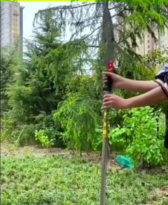 เลื่อยตัดกิ่งไม้ SK5 ขยายความ ยาวถึง 10m เลื่อยโค้งตัดกิ่งไม้ ฟันพิเศษ ใบเลื่อยตะขอคู่ ม้สอยผลไม้ ไม้ผลสวนไผ่ เลื่อยตัดกิ่งไม้สูง ซื้อ 1 แถม 6