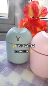 Humidifier Air Purifier 220ml Pelembab Pewangi Mobil Ruangan Kantor B225
