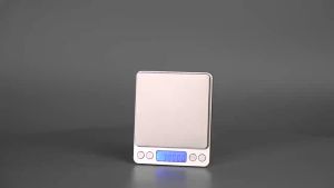 i-2000 3000g Portable Mini Electronic Digital Food Scale Pocket Case Postal Kitchen Jewelry Weight/I2000
