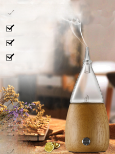 Pure Essential Oil Cold Aromatherapy Diffuser Home Use Negative Ionization Mist Aromas No Water Aromatherapy Machine Silent Spray