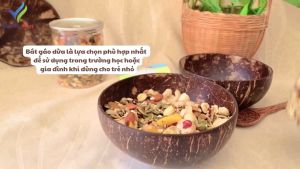 Bát Gáo Dừa Và Thìa Gỗ Tự Nhiên MUTIFOOD