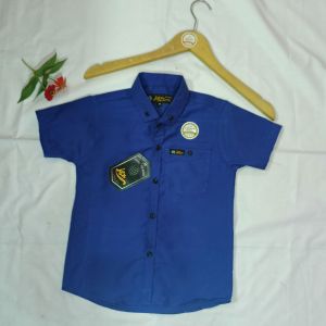 Kemeja anak Kemeja pendek Baju anak Atasan Anak. Kemeja polos