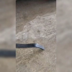 karet rolling door permeter samping pintu roling door meteran per meter 19mm x 2mm