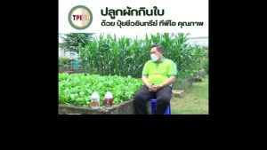 ปุ๋ยม่วง ทีพีไอ ขวดขนาด 1 ลิตร TPI Growth Organic Purple Liquid Fertilizer 1 Liter