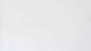 [FASHIONADEK] BAJU KAOS ANAK LAKI-LAKI LENGAN PENDEK GAMBAR DAUN DAN TULISAN WARNA BIRU