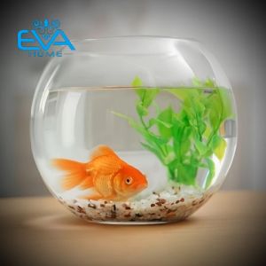 Hồ Cá Thuỷ Tinh Tròn Bầu 14 x 12 Cm T01 Tặng Kèm Sỏi Và Rong Trang Trí