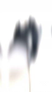 Sambungan Spakbor Slekbor Belakang Motor Honda Prima Star