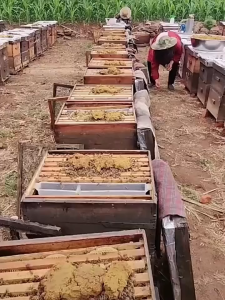 ALAT TERNAK LEBAH BEE SMOKER PENGASAP LEBAH ASAP UNTUK PANEN LEBAH Smoker bee