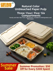 NUOXIAN | Biodegradable Pulp Meal Box