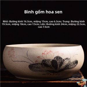 Jiaxun | Bình Tưới Thủy Canh Gốm Dùng Trong Nhà