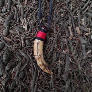 Aksesoris Fashion Pria Wanita Kalung Etnik Sepasang Taring Kalung Resin