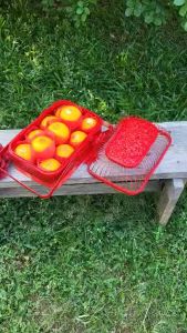 ตะกร้าสาน หูพับได้ รุ่นฝากรงนก ขนาด 20x30x8 cm (สีแดง) ตะกร้าใส่ส้ม ตรุษจีน ใส่ส้มได้ 8-16 ลูก (ไม่รวมของตกแต่ง)