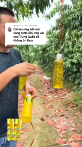 Chai Keo Xịt Bẫy Ruồi Vàng Ruồi Giấm Đục Bông Đục Trái 260ml Hương Thơm Dẫn Dụ Không Bị Rửa Trôi An Toàn Hiệu Quả