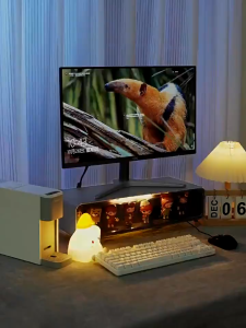 SG RumahHome® Desktop Computer Monitor Stand Display Box Drawer / Popmart Display Box / Figurine Display Desk Organiser Office Desk Display Rack