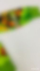 Angel Baby Kid Cartoon Ninja Turtles Jacket Ninja Budak Jaket