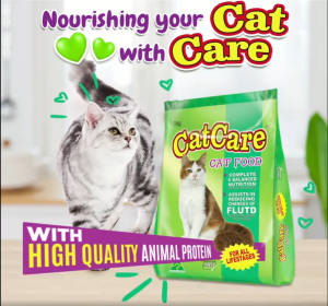 CAT CARE DRY FOOD 1KG ORIGINAL PACKED - Complete Balanced Nutrition Assists in Reducing Choking Fluctuations All Stages