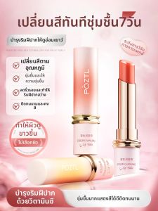 Pozitilan | Moisturizing Crack-Preventing Lipstick