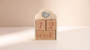 Baby Wood Milestone Photography Accessory Toy Cartoon Bird Time Recorder Box Baby Room Decoration Baby Anniversary Baby Gifts