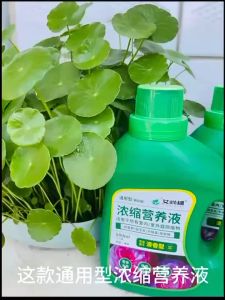 YiGo (植物浓缩营养液) 通用家用室内绿植花卉花肥料多肉幸福树 艾尚棵 植物浓缩营养液 garden fertilizer Cocopeat