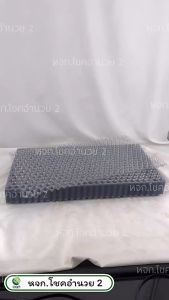 (500 ใบ/ลัง) ถาดเพาะกล้านาโยน 434 หลุม ถาดเพาะ ถาดเพาะกล้าข้าว ถาดเพาะชำ