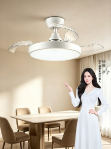 Bull | Invisible Ceiling Fan Light