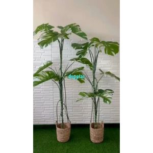 Pohon Hias Tanaman Artificial Monstera Variegata T170 & T190 Latex Cover Eceng Gondok Handle Dekorasi Rumah