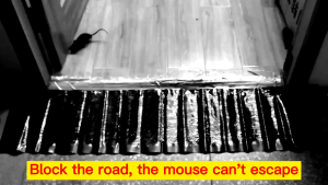 Top Seller Mouse Trap Sticky Board | Strong Adhesive Sticky Glue Trap For Mice Rats Cockroaches Insects Rodent Catcher | Non Toxic Eco- Friendly Disposable Pest Control Boards Indoor Outdoor Home Office Kitchen Safe Effective Mouse Cathcer Trap Pad