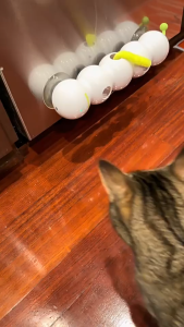 Pet Toy Cat-Activated Caterpillar Electric Interactive Suction Cup Toy Smart Automatic Cat Teaser Wand