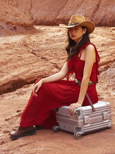 JUPITER FLY Boarding Trolley Luggage Large Capacity Suitcase TSA Lock 360° silent Wheels