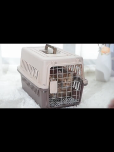 Pet Travel Cage IATA Certified Crash-Proof for Large Dogs Adjustable Divider 2-In-1 Car Airplane Carrier Easy Clean Tray