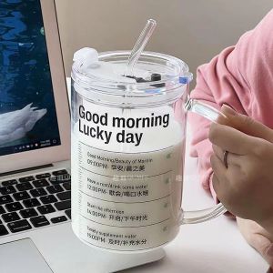 Trendy Large Capacity Boro-Silicate Glass Water Cup With Lid and Straw