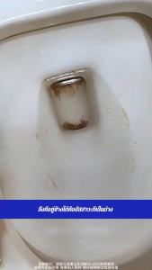 【Hot】[1กล่อง16ชิ้น] เม็ดฟู่ทำความสะอาดชักโครกอันทรงพลัง/เม็ดทำความสะอาดชักโครก/เม็ดฟู่ล้างชักโครก ล้างชักโครก ห้องน้ำ เม็ดฆ่าเชื้อ ขจัดคราบ Toilet Cleane