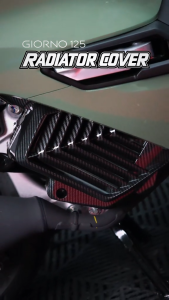 Honda Giorno 125 Radiator Cover 6d Carbon Fiber Design & Matte Black Abs Plastic