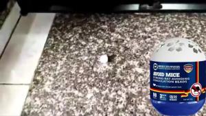 หนูก็หายไป เจลไล่หนู ไล่หนู กำจัดหนู ยาไล่หนู 150g ใช้งานง่าย เจลไล่หนู ลูกเหม็นไล่หนู ไล่หนูถาวร ไล่หนูตลอด 24 ชั่วโมง ผลิตจากธรรมชาติ ปลอดภัย