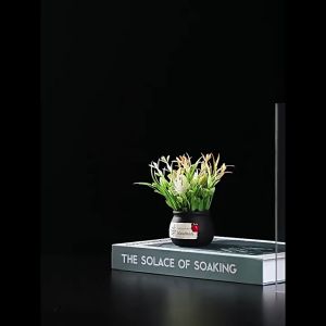 High transparency polycarbonate PC endurance board sunlight board ceiling