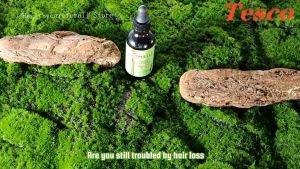 Mielle Organics Rosemary Mint Oil (59ml) - Strengthens Hair Nourishes Follicles