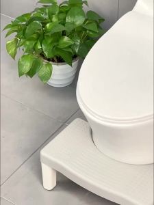 youqin | Ghế Toilet Nâng Cao