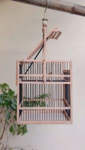 jebakan burung kecil