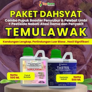 Panduan Lengkap Penggunaan Pupuk Pestisida Topfarm untuk Tanaman Temulawak