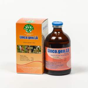 LINCO GEN LA Năm thái (100ml) hen suyễn tụ huyết trùng gia súc gia cầm