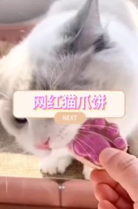 Pet Freeze Dried Cat Food Raw Meat Makanan Kucing Murah Snack Kucing Cat Snack Cat Treat Dog Snack 狗狗零食 Treats For Cat