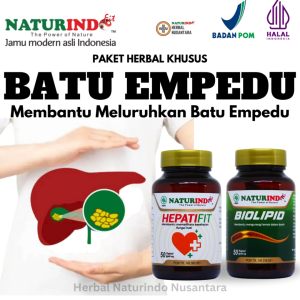 Obat Batu Empedu Pelarut Batu Empedu Herbal Biolipid Naturindo