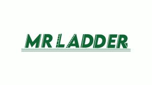 🔥NEW LAUNCH🔥Mr Ladder Home Use Aluminium Double Side Welded Ladder (7 Steps) AL-DWL60-7S ALUCLASS