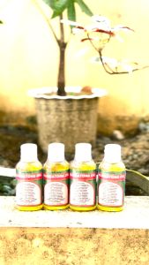 Alingatong Miracle Herbal Oil with Bitoon Extract for Muscle and Joint Pain 60ml