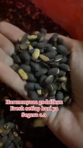 500gr GODRIL MUNGGUR BIJI TREMBESI / MINDIK / MAKANAN TRADISIONAL