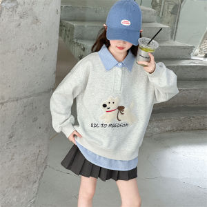MPW | Girls Fashionable Embroidered Sweatshirt Spring Autumn Wear Ages 3-14 Comfortable Loose Fit Long Sleeve Crew Neck Pullover
