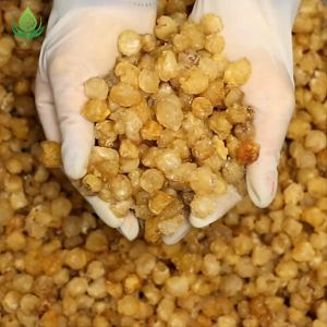 [HÀNG CAO CẤP] Long Nhãn Hưng Yên Sấy Khô Vàng Đẹp Thượng Hạng